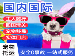 徕宁航空邮寄国际宠物托运 【国